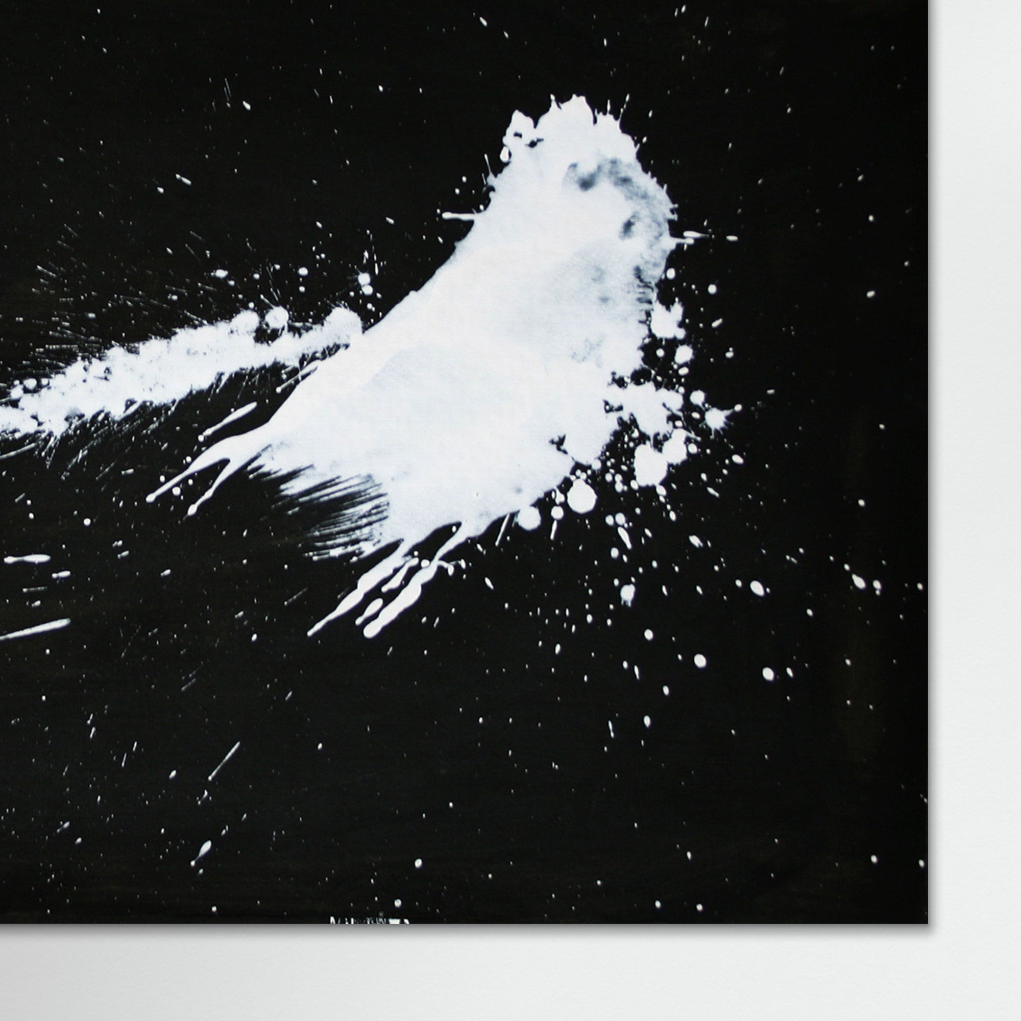 Canvas Print: "Snow 1"