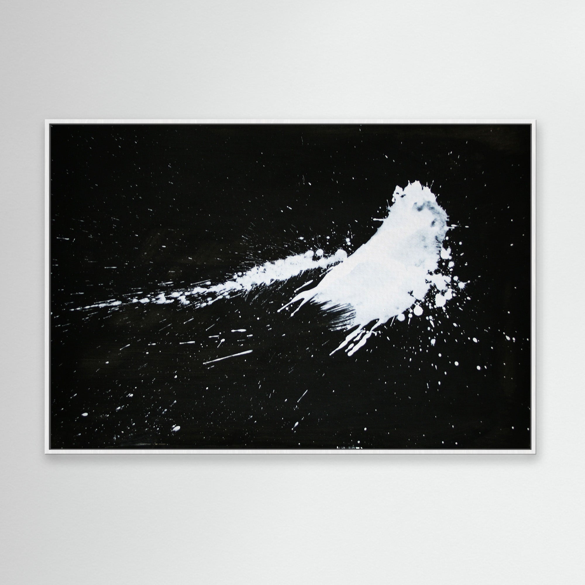 Canvas Print: "Snow 1"